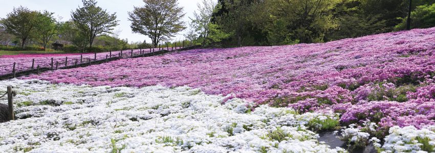 季節ごとのカレンダー付ポスター