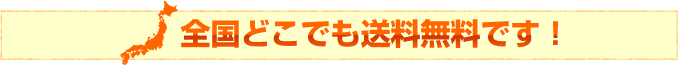 全国どこでも送料無料です！